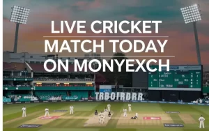 live cricket match today