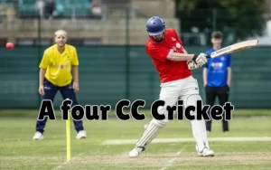 a four cc cricket