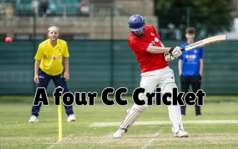 a four cc cricket